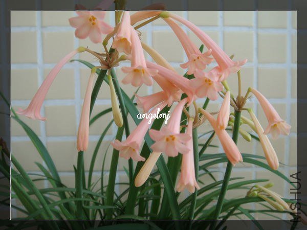 ��Ͳ����2013-1-27.jpg