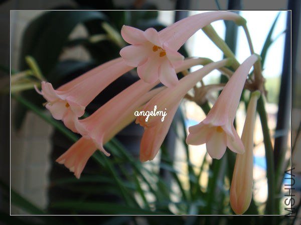 �۴�Ͳ������Ӱ��1��2013-1-27.jpg