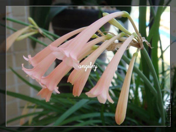 �۴�Ͳ������Ӱ��2��2013-1-27.jpg