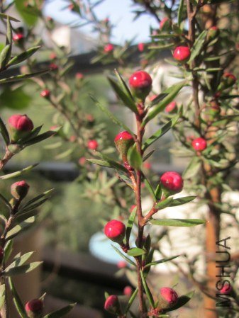 IMG_1399.jpg