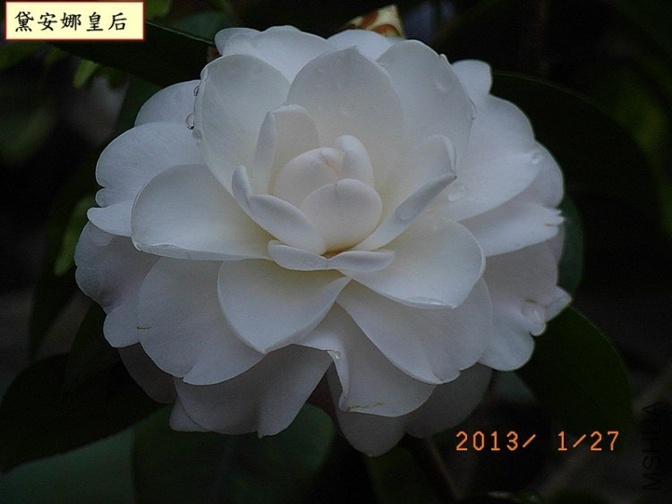 �찲�Ȼʺ�1B.jpg