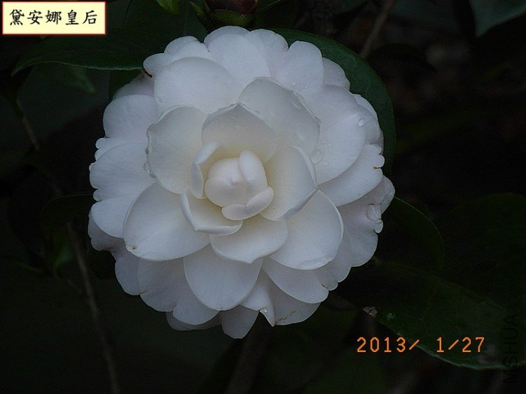 �찲�Ȼʺ�1C.jpg