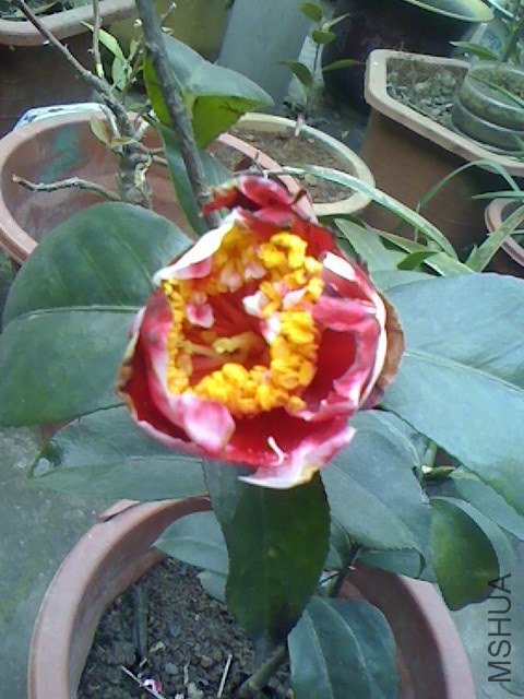 IMG0123173300.jpg