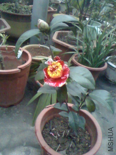 IMG0124180000.jpg