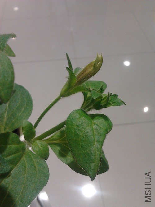 2013-01-25 14.54.10_����.jpg