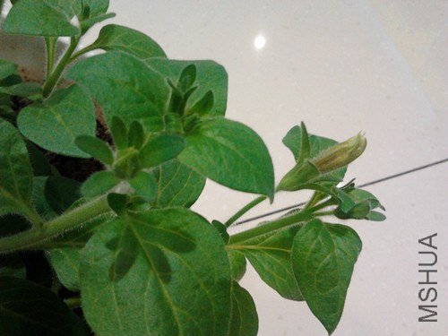 2013-01-25 14.54.44_����.jpg