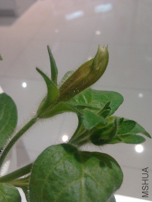 2013-01-25 14.55.41_����.jpg