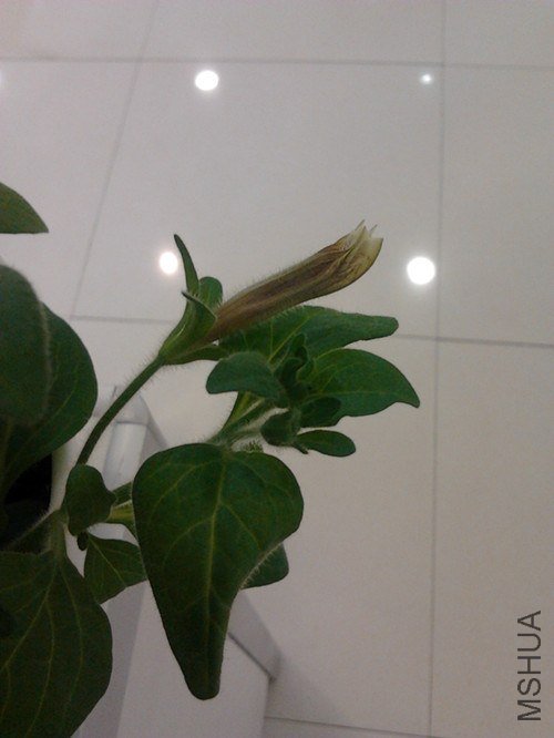 2013-01-26 20.48.10_����.jpg