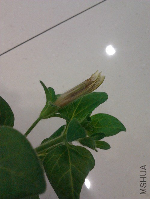 2013-01-26 20.48.20_����.jpg