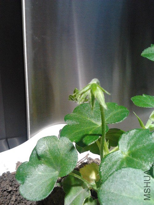 2013-01-25 15.55.36_����.jpg