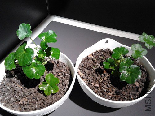 2013-01-24 18.43.07_����.jpg