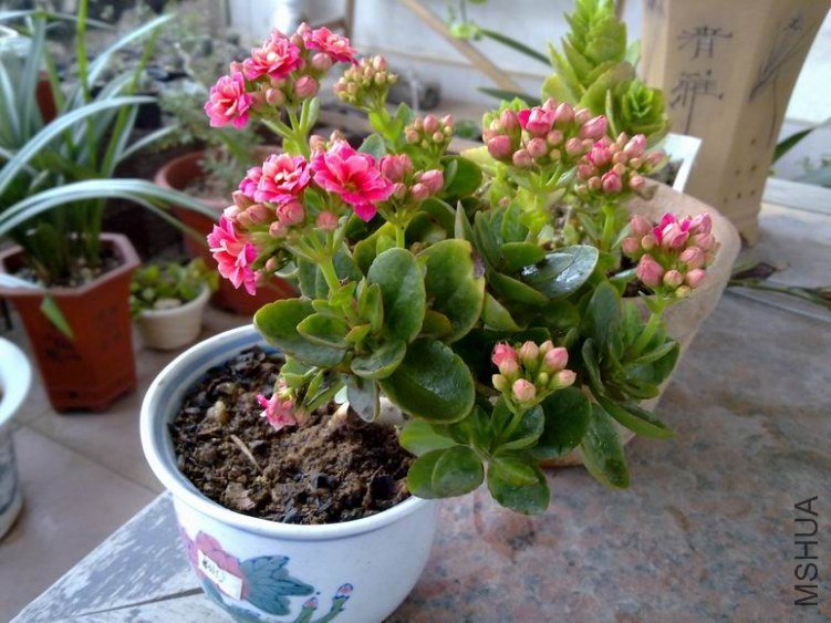 ������С 201301264464.jpg