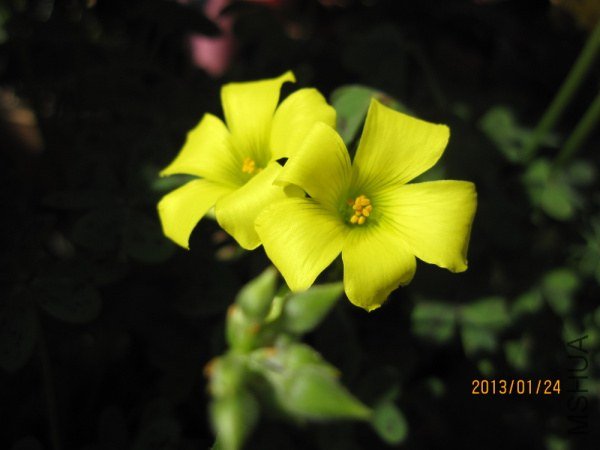 IMG_6773.jpg
