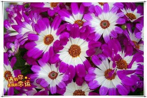 ��Ƭ 069_����.jpg