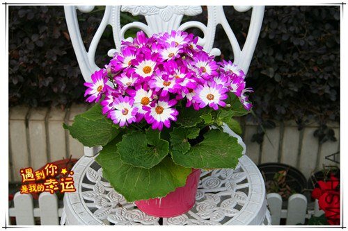 ��Ƭ 065_����.jpg