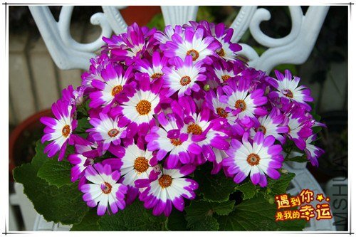 ��Ƭ 066_����.jpg