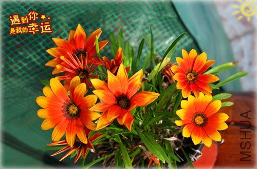 ��Ƭ 071_����.jpg