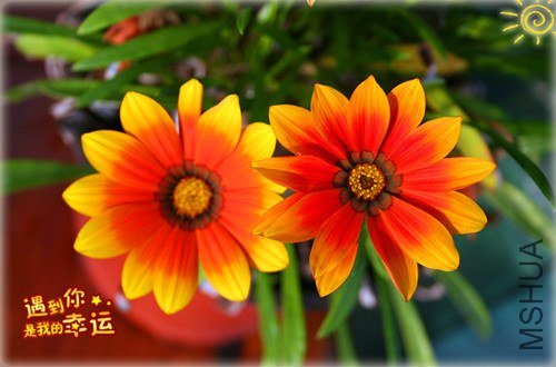 ��Ƭ 072_����.jpg