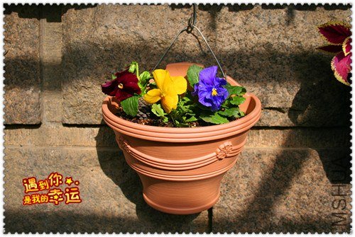 ��Ƭ 023_����.jpg