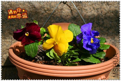 ��Ƭ 020_����.jpg