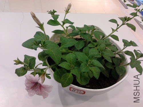 2013-01-29 12.27.12_����.jpg