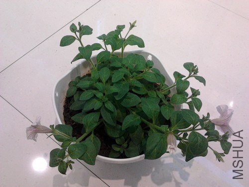 2013-01-29 15.10.05_����.jpg