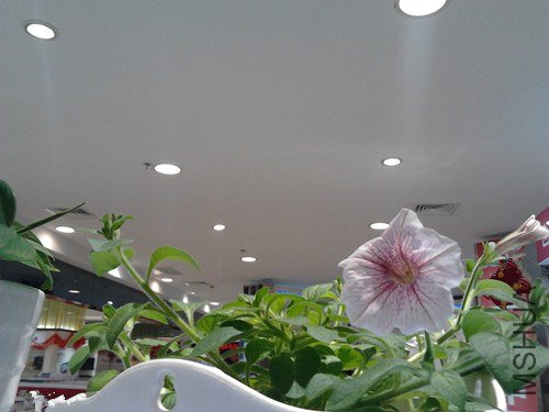 2013-01-29 16.45.40_����.jpg