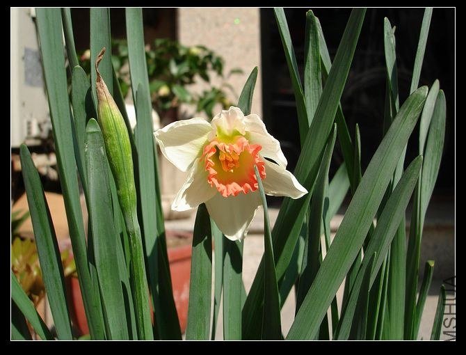 DSC08510.JPG
