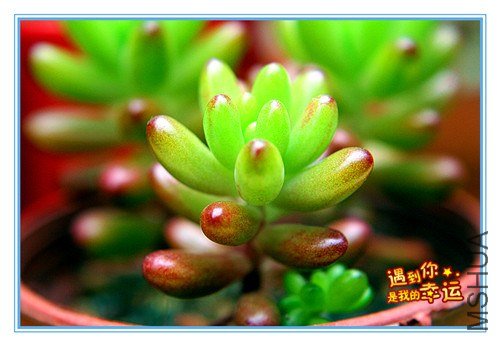 ��Ƭ 034_����.jpg