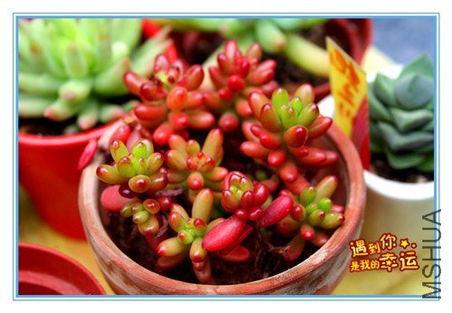 ��Ƭ 032_����.jpg