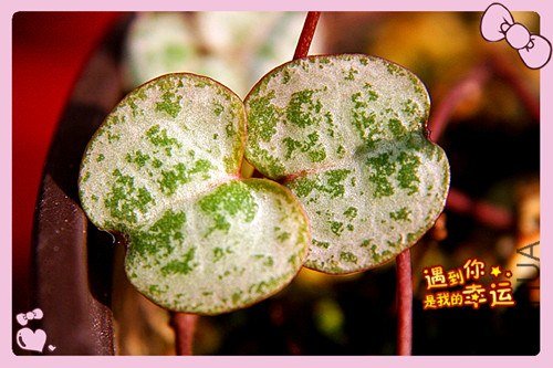 ��Ƭ 027_����.jpg