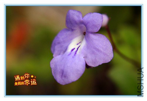 ��Ƭ 081_����.jpg