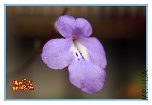 ��Ƭ 080_����.jpg