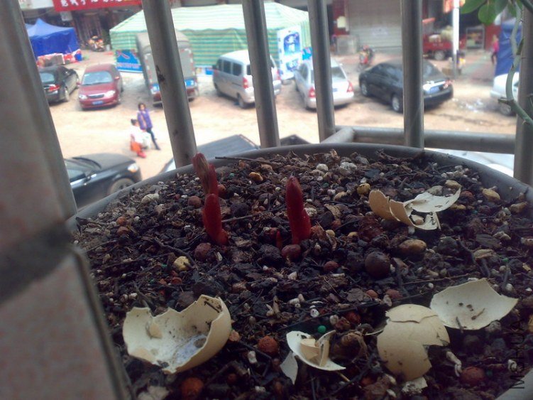 20130130205.jpg