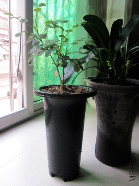 IMG_2005.jpg