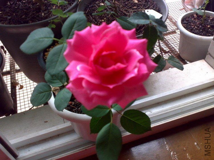 20110702133.jpg