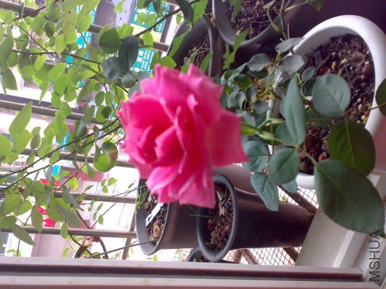 20110702134.jpg