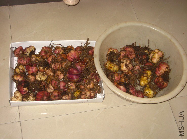 ���� (1).jpg