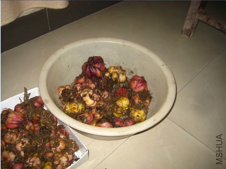 ���� (3).jpg