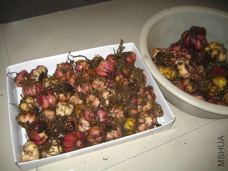 ���� (4).jpg