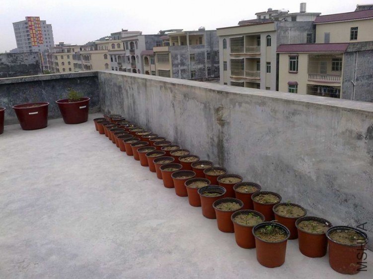 ��Ƭ0838.jpg