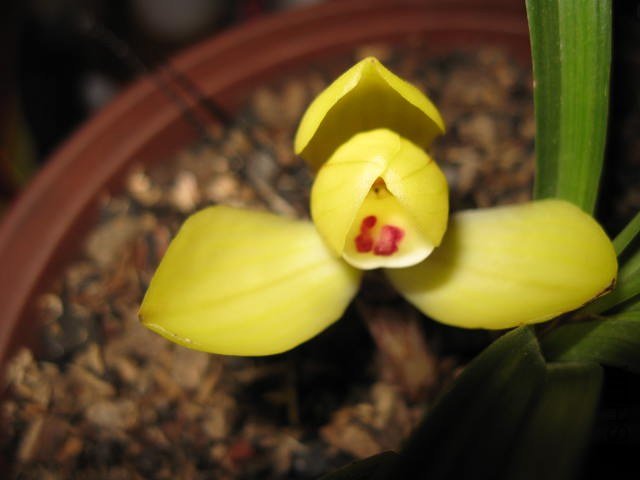 �ɰ�ƻ� (38).JPG