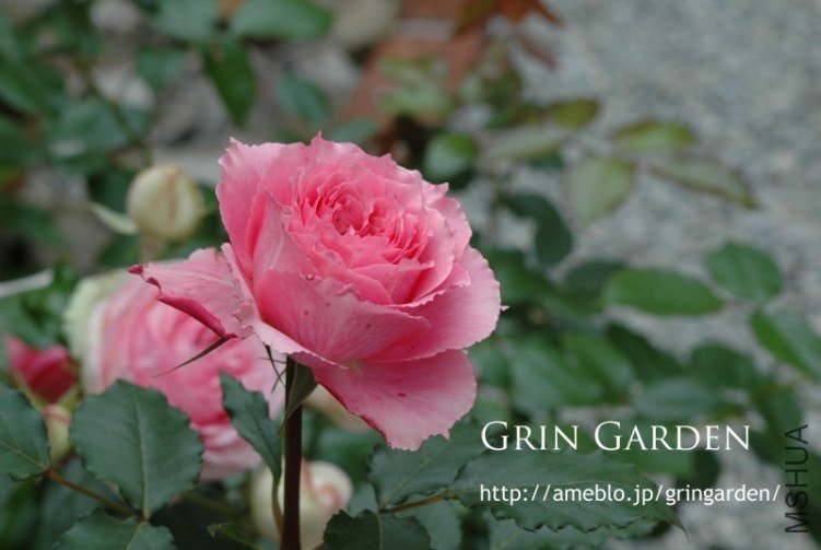 �Х� ���`��������2.jpg