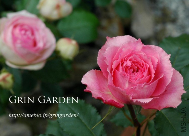 �Х� ���`��������1.jpg