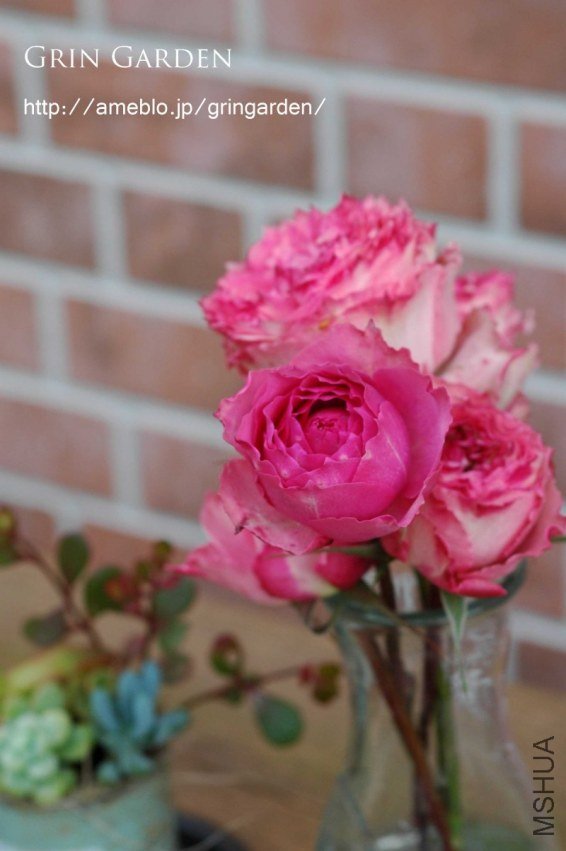 �Х� ���`��������3.jpg