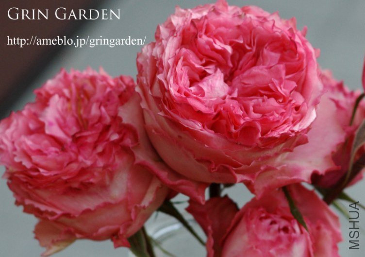 �Х� ���`��������5.jpg