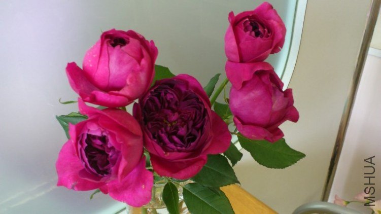 ���`�����`���� 3.jpg