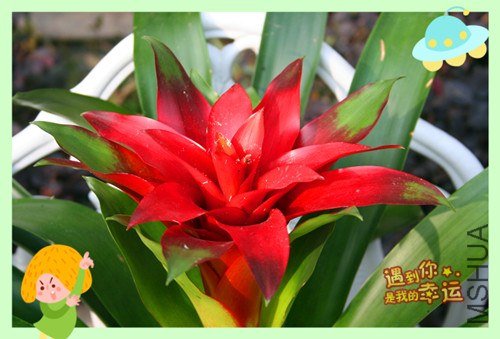 ��Ƭ 141_����.jpg