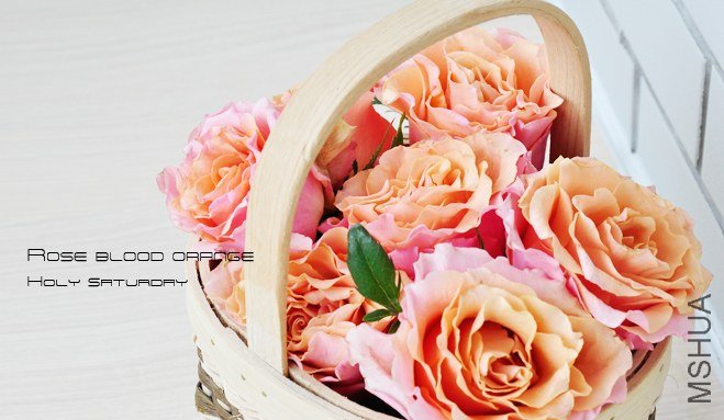 ROSE Blood orange3.jpg