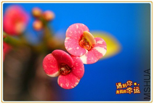 ��Ƭ 076_����.jpg